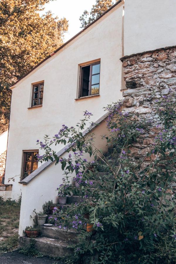 Le Petit Chateau Vezzi Portio Esterno foto