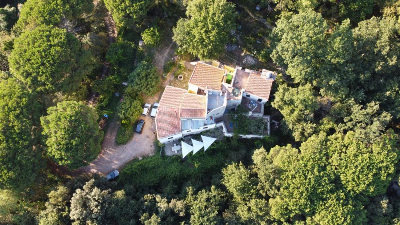 Le Petit Chateau Vezzi Portio Esterno foto