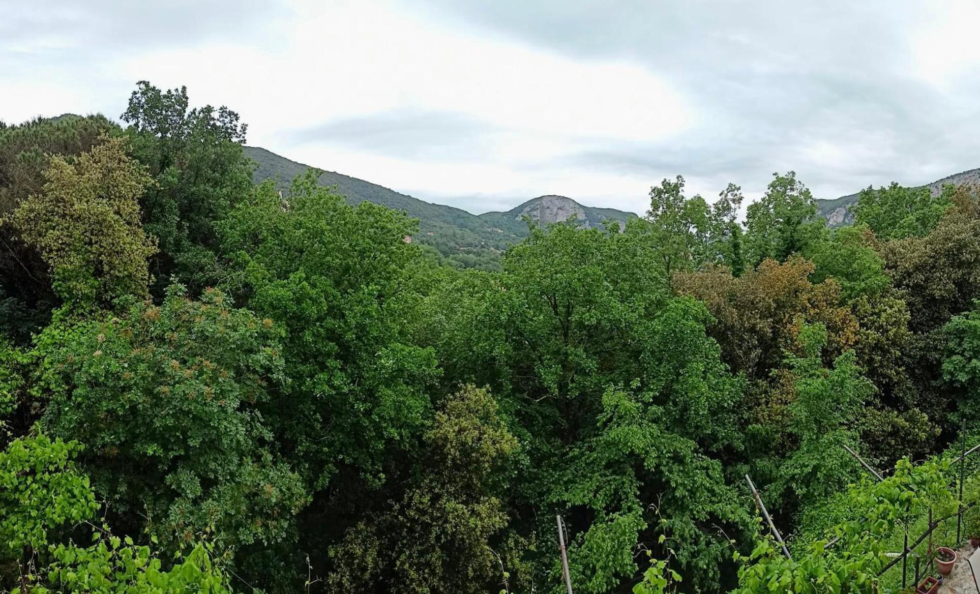 Le Petit Chateau Vezzi Portio Esterno foto